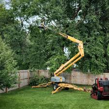 Lawn Renovation and Restoration in Newington Forest, VA