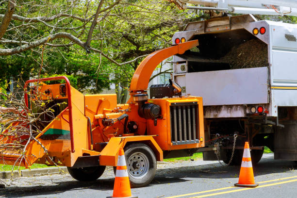 Tree and Shrub Care in Newington Forest, VA